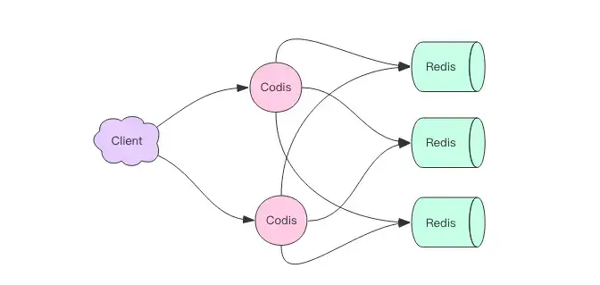 codis2.webp