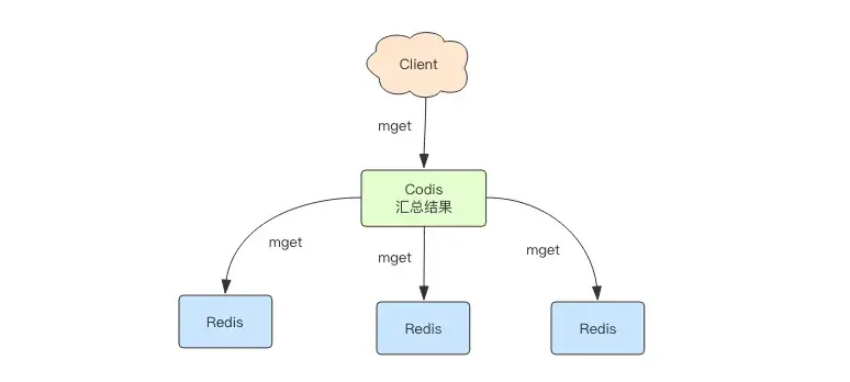 codis4.webp